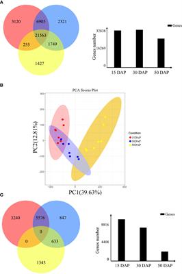 Comparative transcriptome analysis identifies candidate genes related to seed coat color in rapeseed